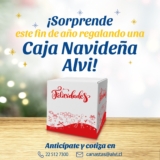 Promo Caja Navideña Alvi: Elige una de las cajas y sorprende a tus trabajadores