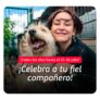Banco Falabella Celebra a tu Fiel Compañero: Hasta 30% de descuento