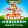 Gana un pack familiar de 4 entradas para visitar Buin Zoo y ver el estreno de Mi Perro Choclo