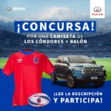 Great Wall regala de nuevo 2 camisetas de los Cóndores + un balón de rugby