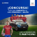 Concurso Flash Great Wall Motors: Gana una camiseta de los Cóndores + un balón de Rugby